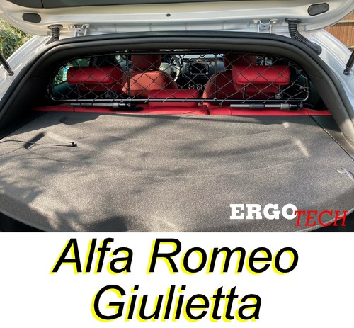 Divisorio griglia rete - divisorio,
